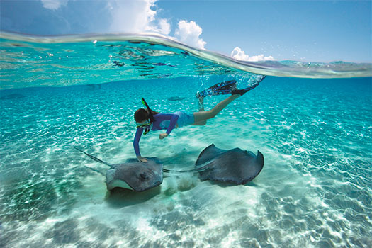 Ciudad de las Rayas en las Islas Caimán. EworldCruises.com Ciudad de las Rayas en las Islas Caimán. EworldCruises.com