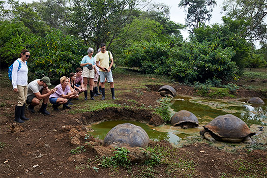 Rancho de tortugas en Bahía Tortuga. EworldCruises.com Rancho de tortugas en Bahía Tortuga. EworldCruises.com