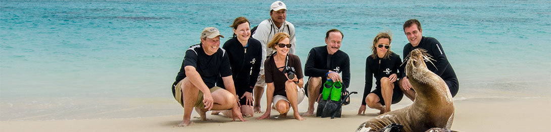 Leones marinos en la isla San Cristóbal. EworldCruises.com Leones marinos en la isla San Cristóbal. EworldCruises.com