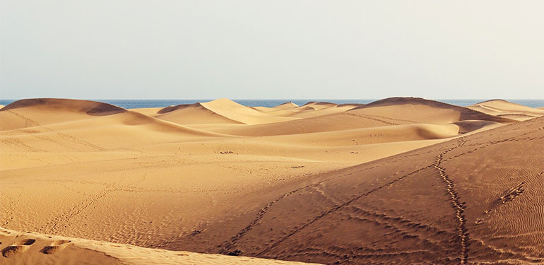 Cruceros por Canarias y Atlántico, Gran Canaria. EworldCruises.com Cruceros por Canarias y Atlántico, Gran Canaria. EworldCruises.com