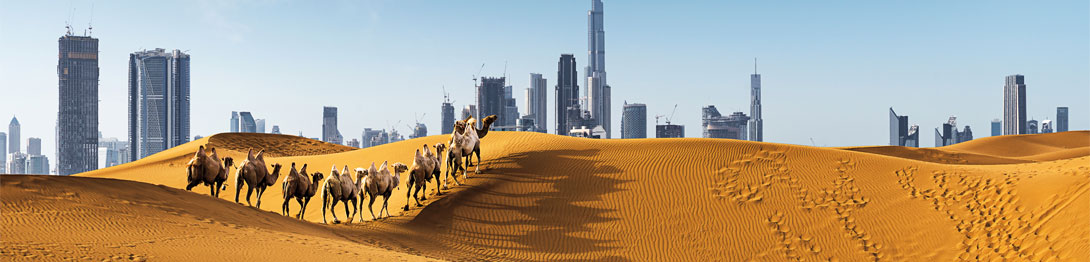 Dubái, ciudad de contrastes. EworldCruises.com Dubái, ciudad de contrastes. EworldCruises.com